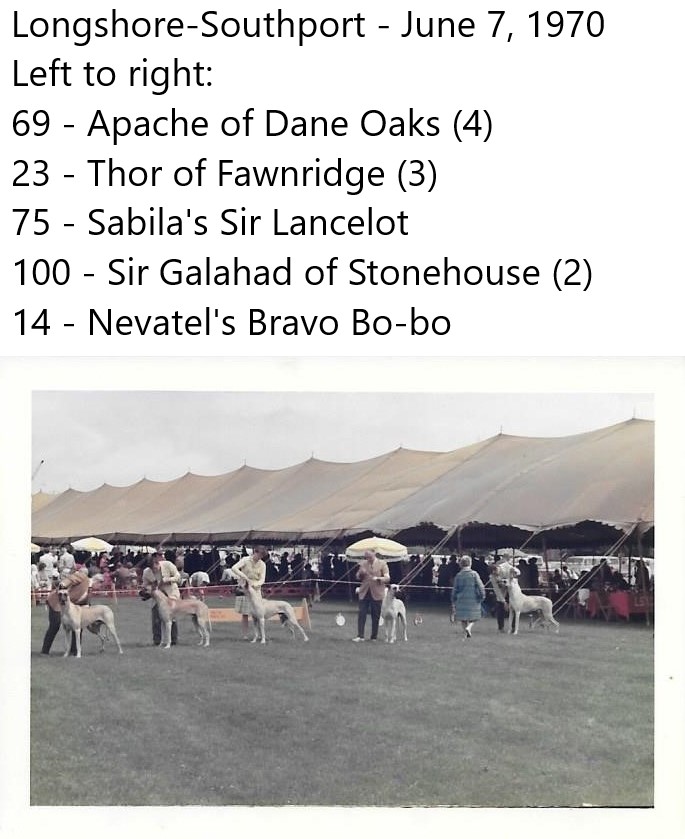 Apache of Dane Oaks